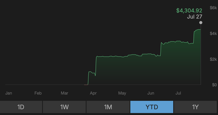 TastyTrade Portfolio - Year to Date 2025